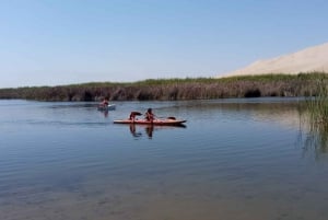 De Paracas: Passeio de minibuggy e sandboard no Oasis