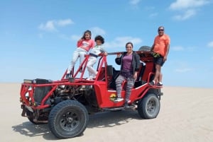 Fra Paracas: Mini Buggy-tur og sandboarding ved Oasis