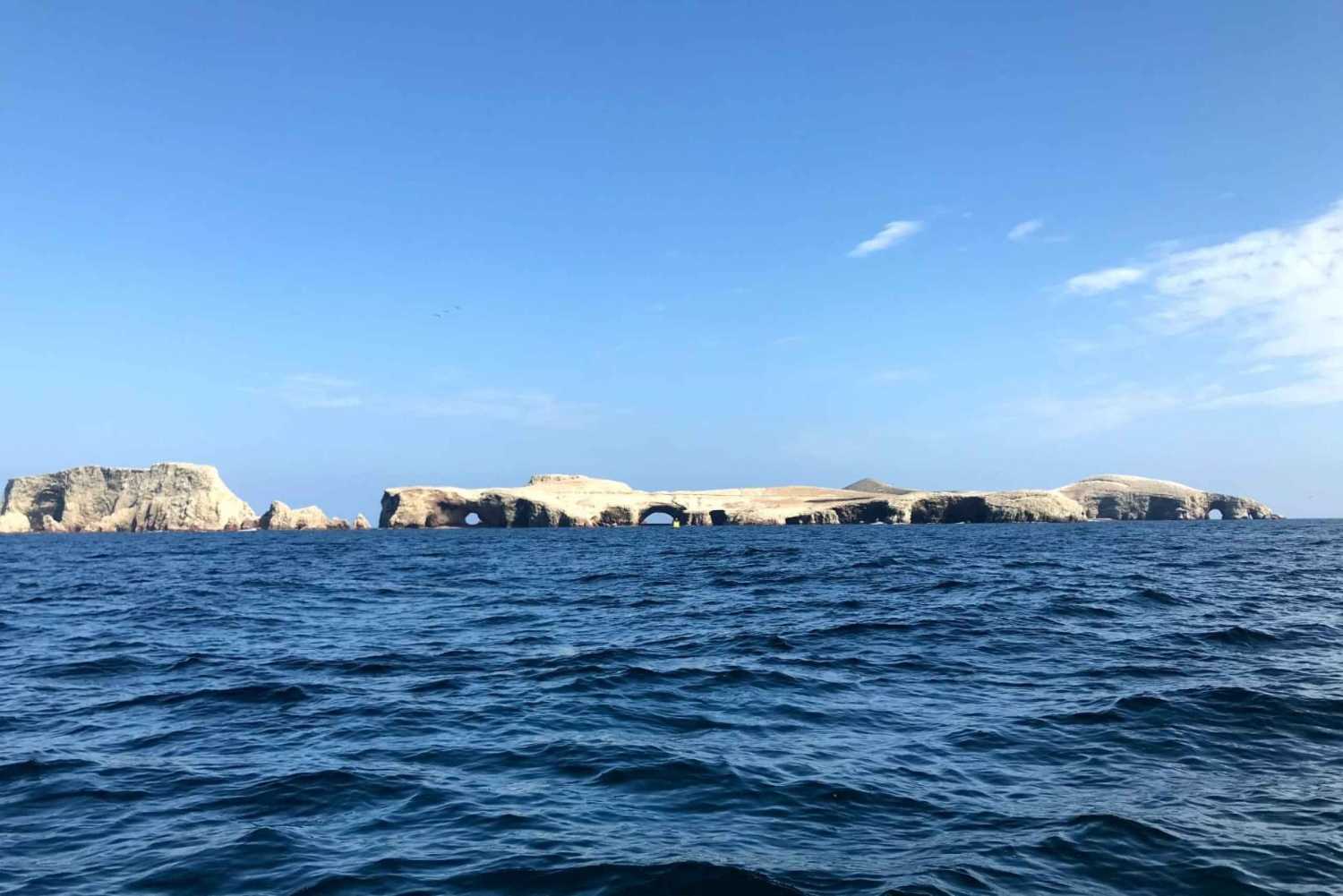 From Paracas or Pisco: Ballestas Islands Private Boat Trip