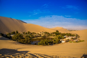 Best tours from Paracas, Peru