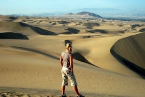 From Paracas or Pisco: Private Tour to Huacachina Oasis