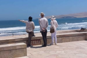 Fra Paracas: Privat udflugt i Paracas nationalreservat