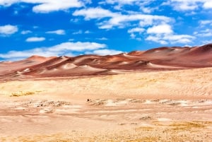 Best tours from Paracas, Peru