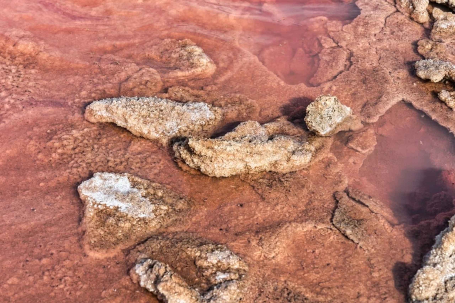 Из Паракаса: Частная экскурсия в Лагуна Росада, Плайя Роха и Ла Катедраль