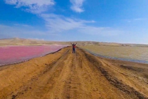From Paracas: Private Tour to Laguna Rosada, Red Beach and La Catedral