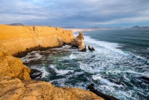 From Paracas: Private Tour to Laguna Rosada, Red Beach and La Catedral