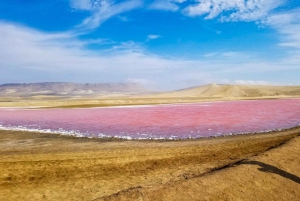 From Paracas: Private Tour to Laguna Rosada, Red Beach and La Catedral