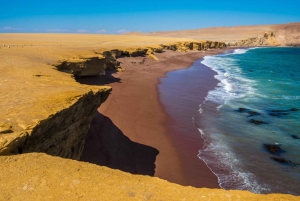 From Paracas: Private Tour to Laguna Rosada, Red Beach and La Catedral