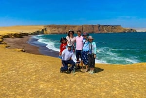 Из Паракаса: Частная экскурсия в Лагуна Росада, Плайя Роха и Ла Катедраль