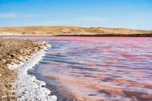 Из Паракаса: Частная экскурсия в Лагуна Росада, Плайя Роха и Ла Катедраль