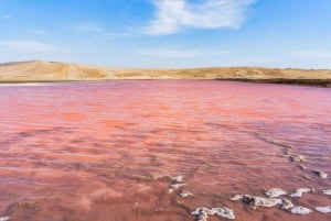 Из Паракаса: Частная экскурсия в Лагуна Росада, Плайя Роха и Ла Катедраль