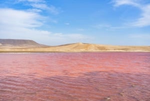 Из Паракаса: Частная экскурсия в Лагуна Росада, Плайя Роха и Ла Катедраль