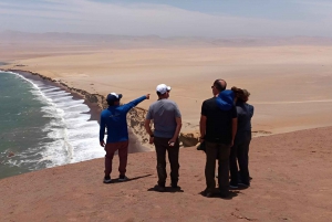 Paracas:Private Tours Paracas National Reserve all inclusive