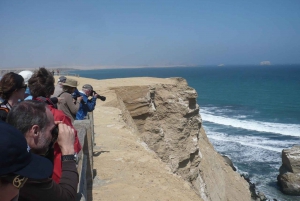 Paracas:Private Tours Paracas National Reserve all inclusive