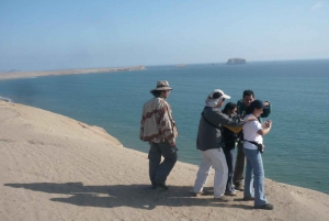 Paracas:Private Tours Paracas National Reserve all inclusive