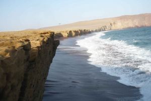 Paracas:Private Tours Paracas National Reserve all inclusive