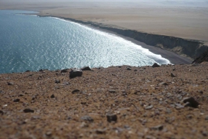 Paracas:Private Tours Paracas National Reserve all inclusive