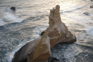Paracas:Private Tours Paracas National Reserve all inclusive
