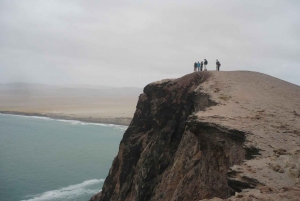 Paracas:Private Tours Paracas National Reserve all inclusive