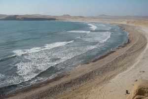 Paracas:Private Tours Paracas National Reserve all inclusive