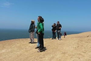 Paracas:Private Tours Paracas National Reserve all inclusive