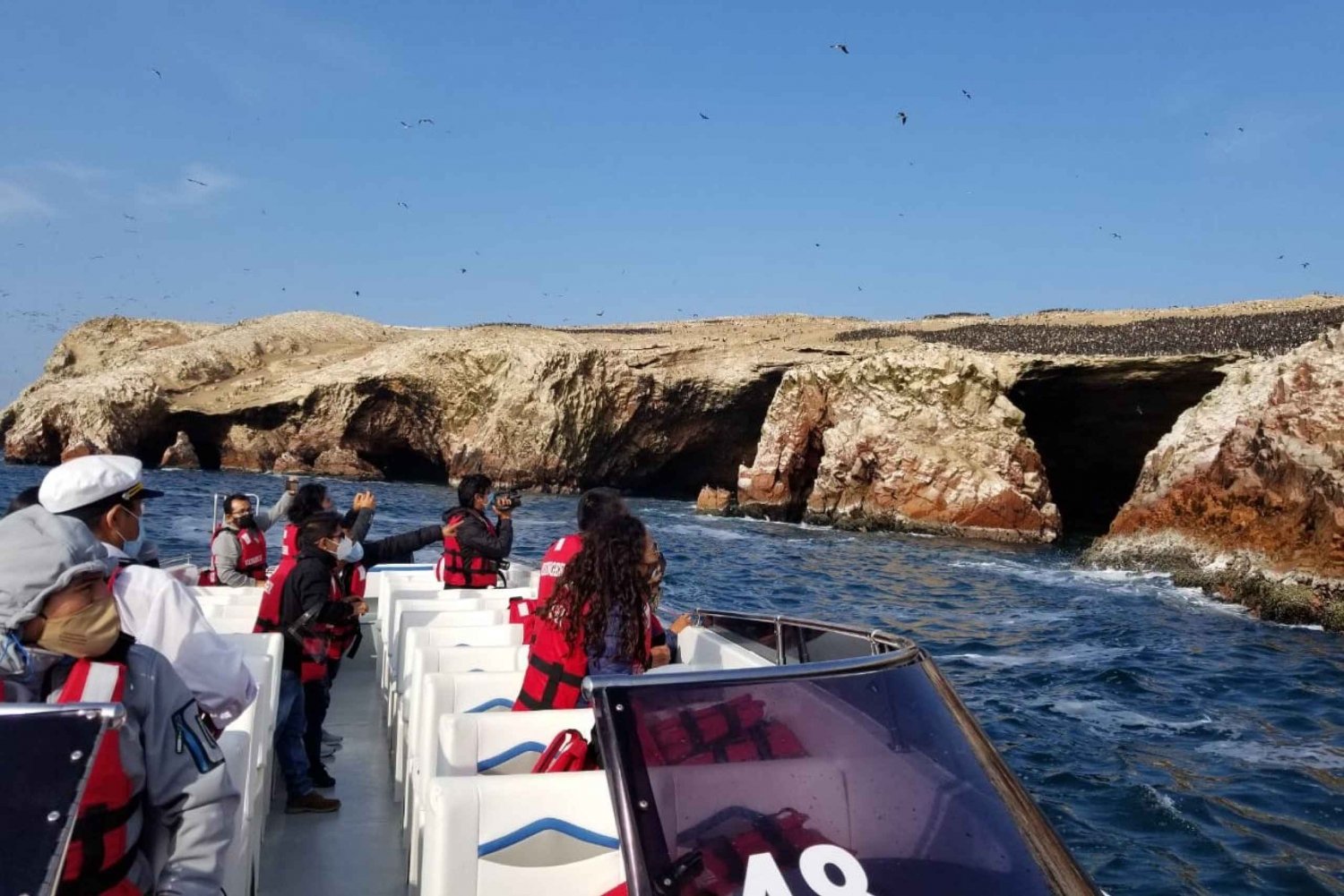 Från Paracas: Båttur till ön Ballestas med natursköna båtar