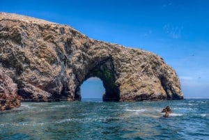 Best tours from Paracas, Peru
