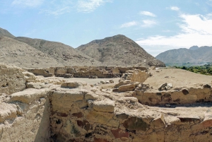 Best tours from Paracas, Peru