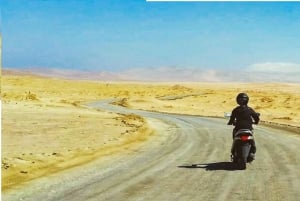 Scooter to Paracas National Reserve