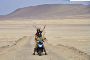 Scooter to Paracas National Reserve