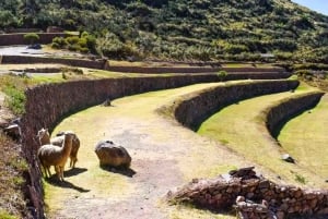 From Pisac: Pisac Ruins Tour with Andean Spiritual Guide