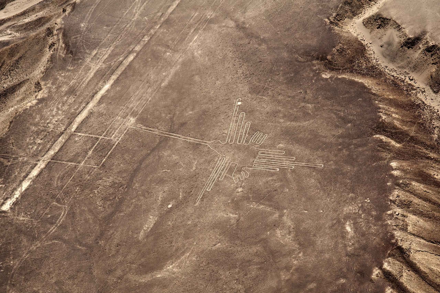 Depuis Pisco ou Paracas : Vol sur les lignes de Nazca