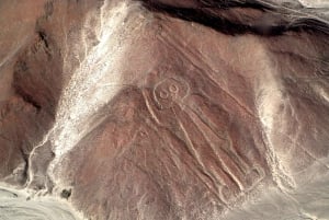 Vanuit Pisco of Paracas: Nazca-lijnen vlucht