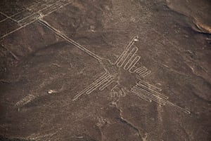 Desde Pisco o Paracas: Vuelo Líneas de Nazca