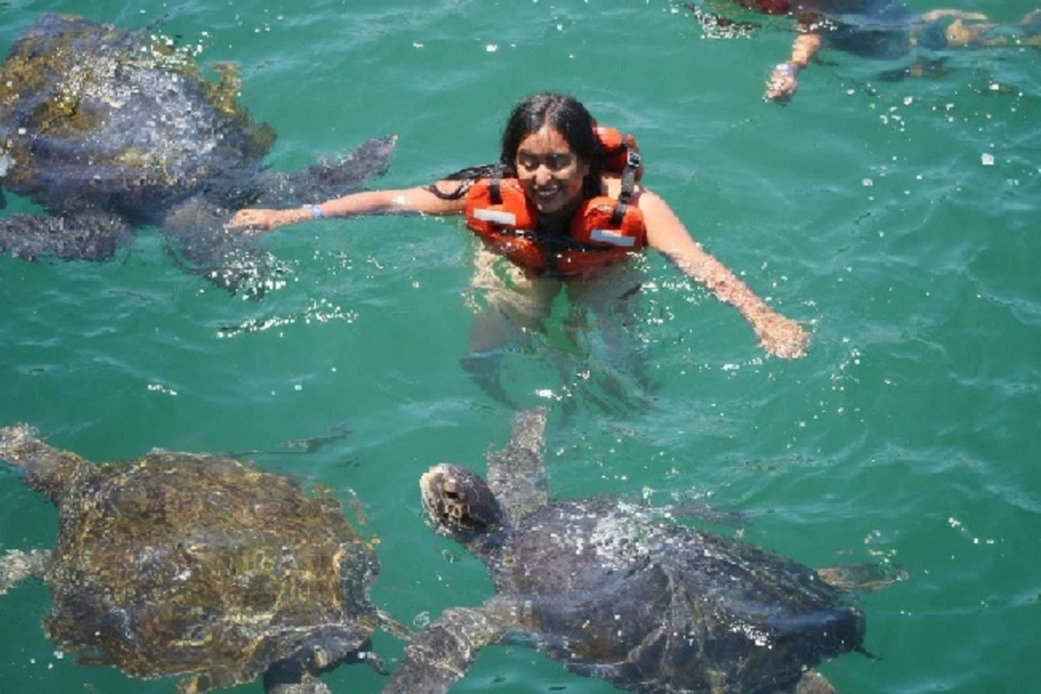 Von Piura | Ausflug nach Máncora + Schwimmen mit Schildkröten