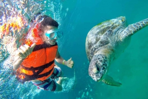 Von Piura || Ausflug nach Mancora + Schwimmen mit Schildkröten