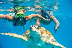 Piurasta || Retki Mancoraan + Uiminen kilpikonnien kanssa