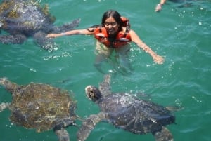 Piurasta || Retki Mancoraan + Uiminen kilpikonnien kanssa