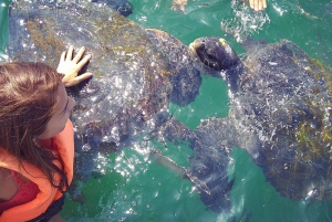 Von Piura || Ausflug nach Mancora + Schwimmen mit Schildkröten