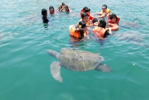 Depuis Piura || Excursion à Mancora + Baignade avec les tortues