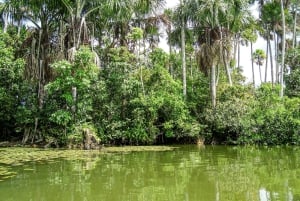 Desde Puerto Maldonado: Excursión de 2 Días por la Selva de Tambopata