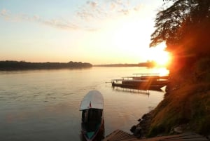 Desde Puerto Maldonado: Excursión de 2 Días por la Selva de Tambopata