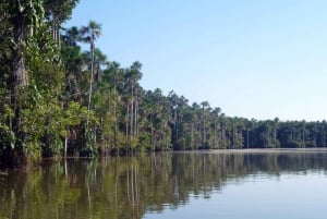Desde Puerto Maldonado: Excursión de 2 Días por la Selva de Tambopata