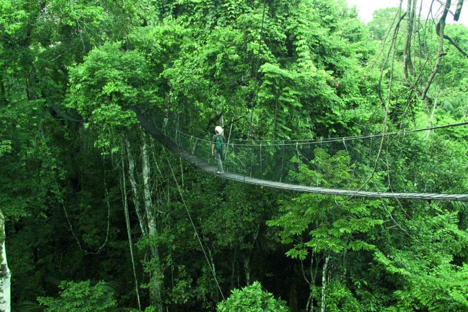 Vanuit Puerto Maldonado: Inkaterra Rainforest Canopy Tour