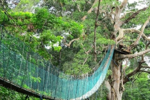 Vanuit Puerto Maldonado: Inkaterra Rainforest Canopy Tour