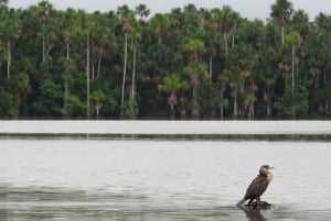 Da Puerto Maldonado || Escursione nella giungla + Lago di Sandoval ||