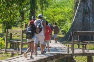 From Puerto Maldonado: Tambopata National Reserve 2-Day Tour