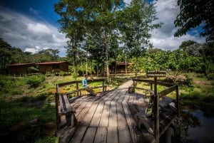 Fra Puerto Maldonado: Tambopata nationalreservat 2-dages tur