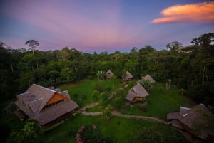 De Puerto Maldonado: excursão de 2 dias à Reserva Nacional Tambopata