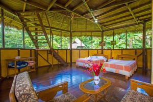 Z Puerto Maldonado: 2-dniowa wycieczka do Rezerwatu Narodowego Tambopata